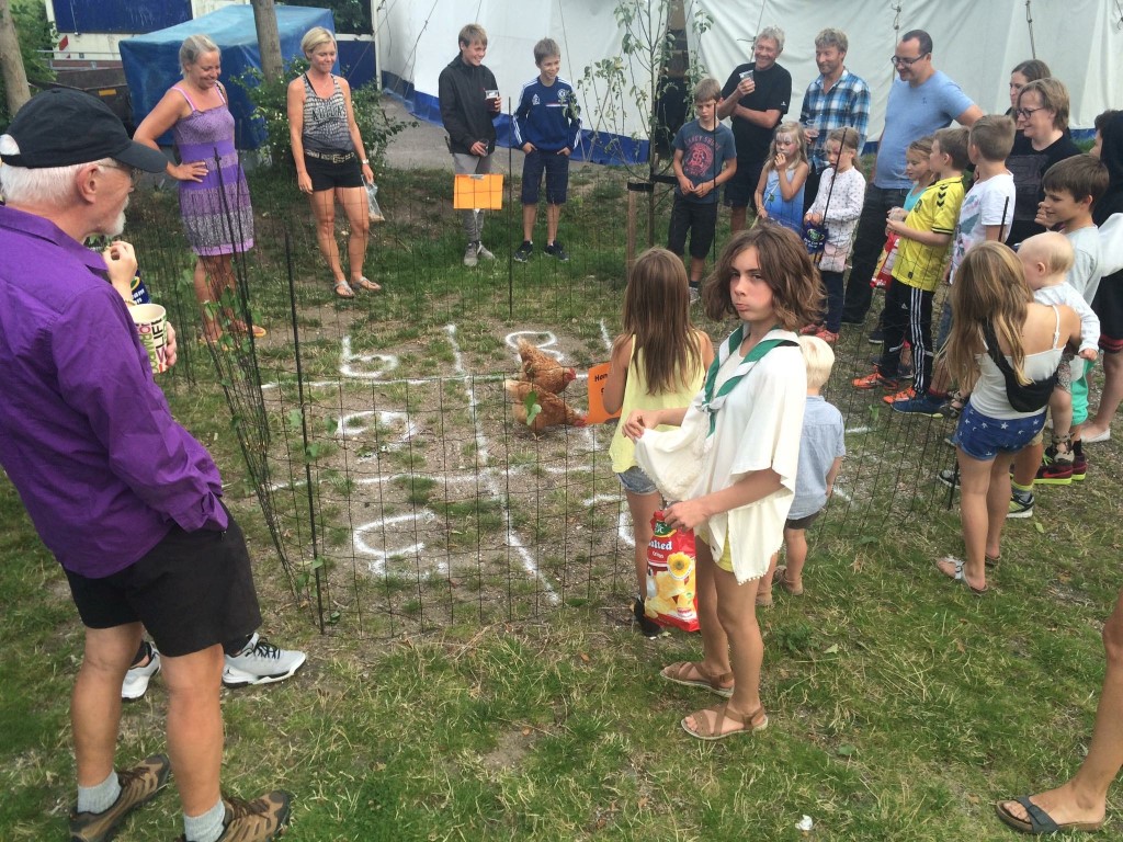 Sommerfest 2015 (33)