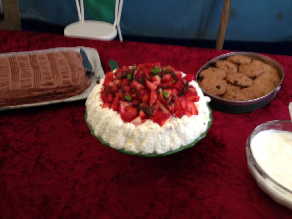 Sommerfest 2016 (6)