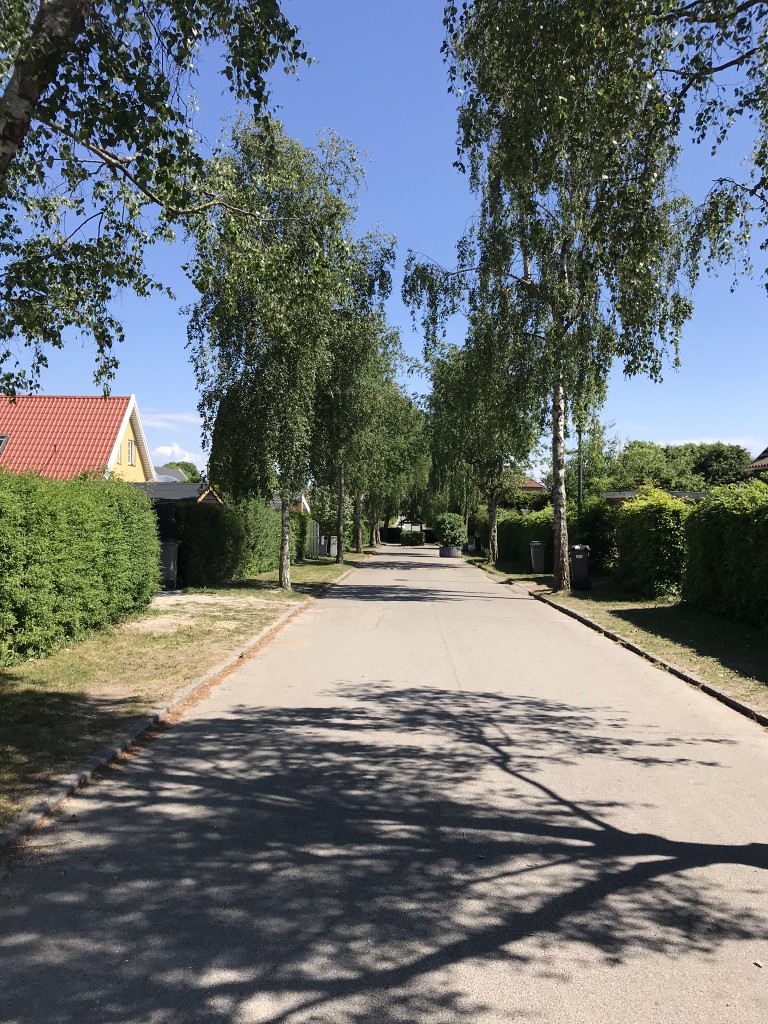 Birkevang (7)