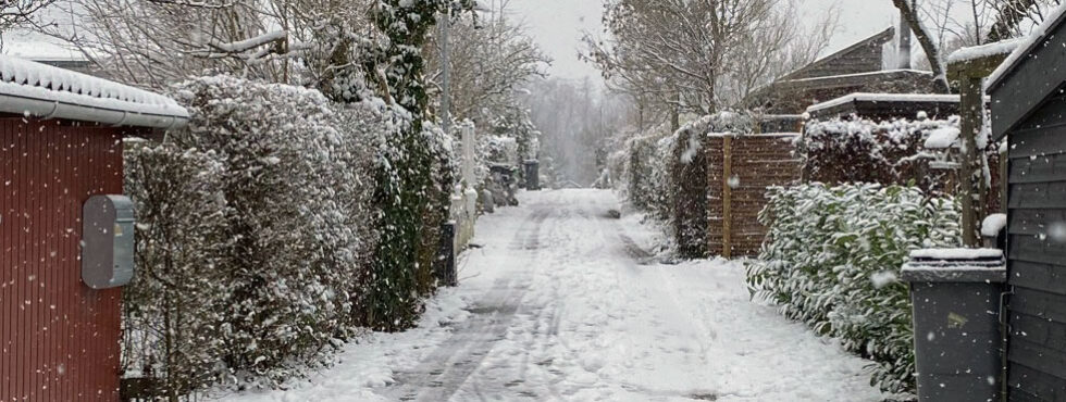 Vinter_2021_03-980x370